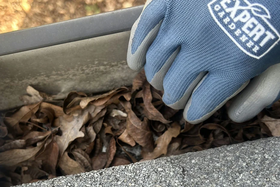 Gutter Cleaning Arnold, MO