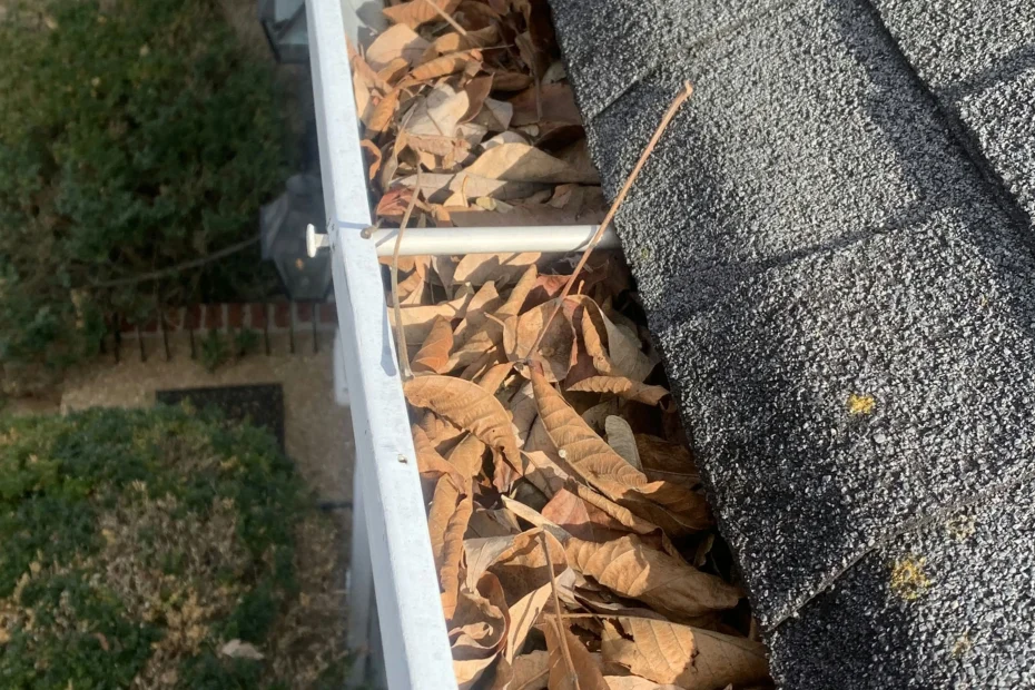 Gutter Cleaning Arnold, MO